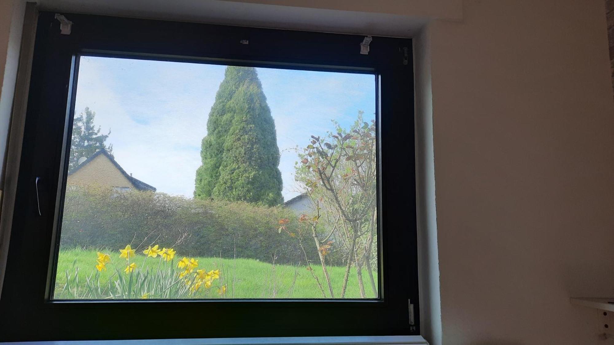 Kleine Ferienwohnung In Ruhiger Lage Herzogenrath Esterno foto